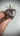 Pink Sonoran Dendritic Rhyolite Ring